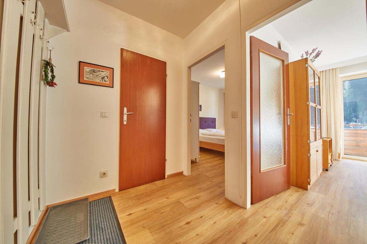 Appartement Delight Зальбах-Хинтерглемм Экстерьер фото